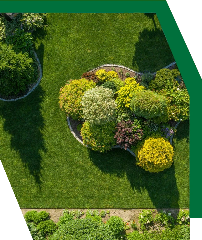 Landscape Design Services in Elizabethtown, KY